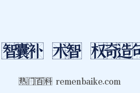 智囊补·术智·权奇造句是什么意思的图片